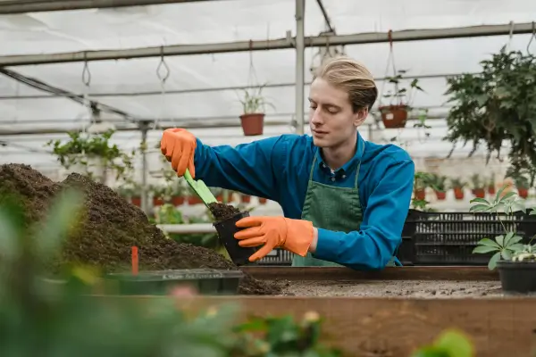 Adubação Natural para Plantas: Métodos de Compostagem Eficientes