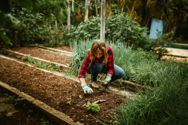 O Solo como Aliado da Sustentabilidade: Estratégias para Preservar a Umidade