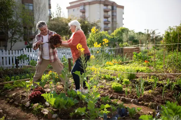 Hortas Sustentáveis: A Compostagem como Aliada para Jardins de Baixa Irrigação