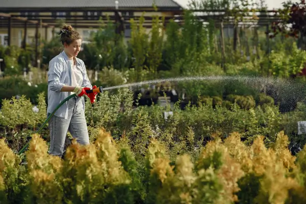 Dicas de Solo Sustentável: Como Aumentar a Retenção Hídrica do Jardim