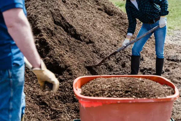 Compostagem no paisagismo para melhorar o solo naturalmente